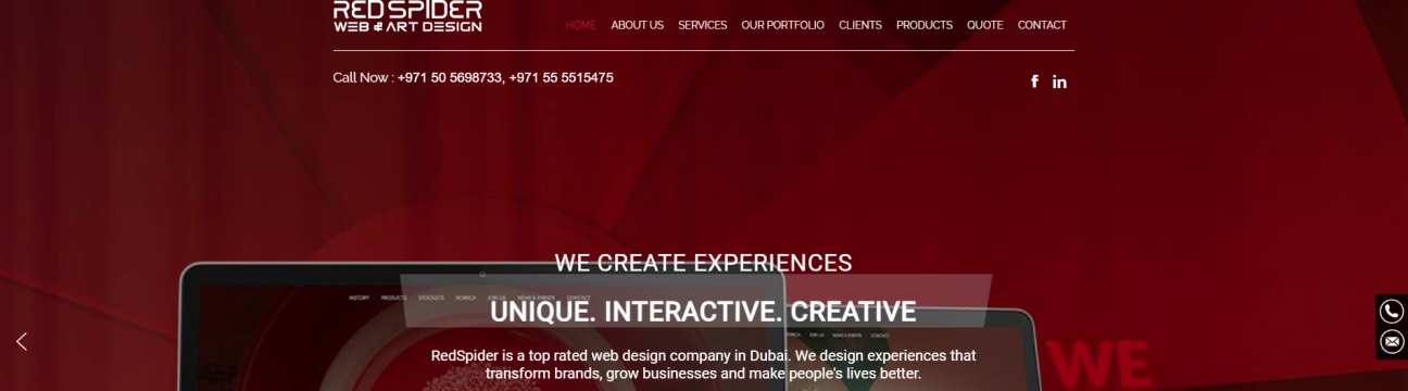 RedSpider Web And Art